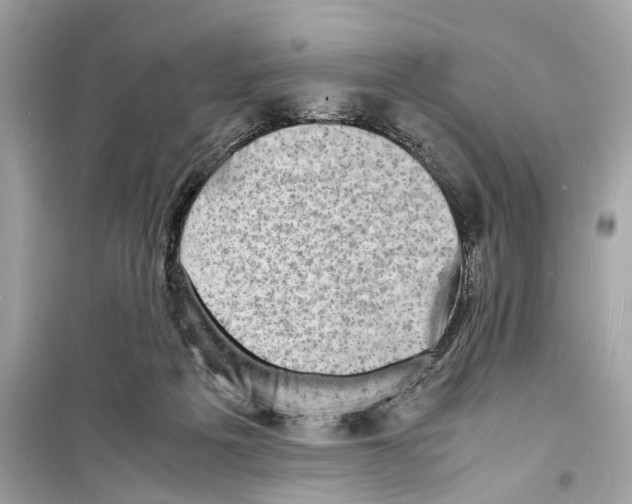 X0000098220217200805221655