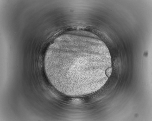 X0000098220218200805221655