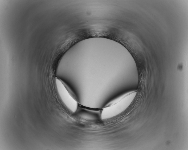 X0000098220219200805221655
