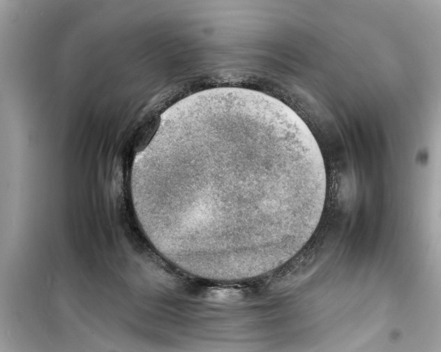 X0000098220220200805221655