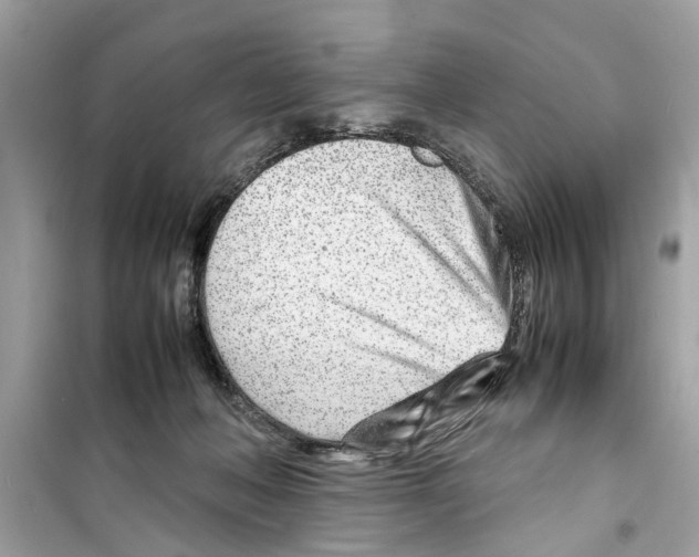 X0000098220222200805221655