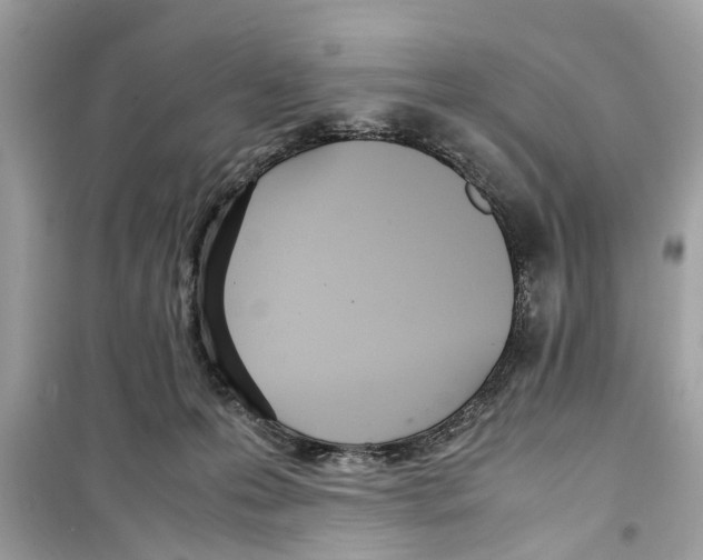 X0000098220223200805221655