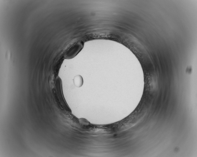 X0000098220224200805221655