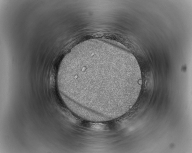 X0000098220226200805221655