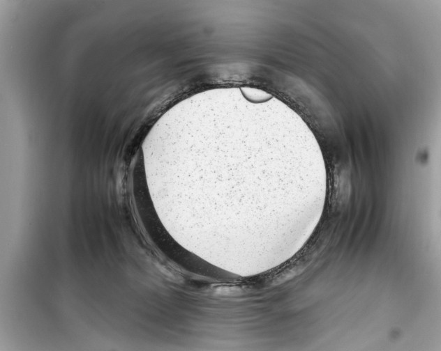 X0000098220228200805221655
