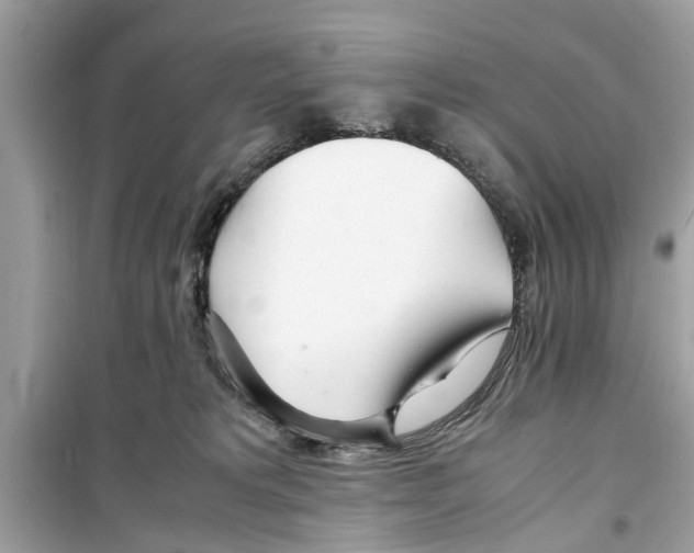 X0000098220229200805221655