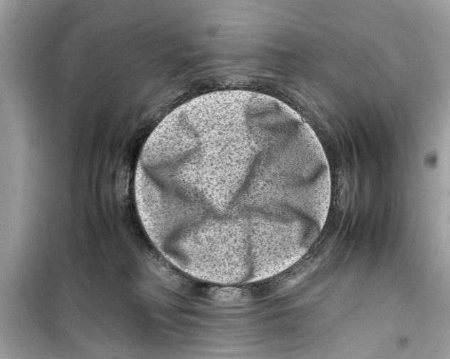 X0000098220230200805221655