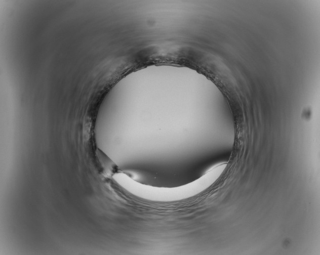 X0000098220231200805221655
