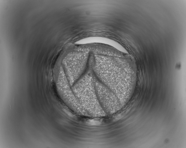 X0000098220232200805221655