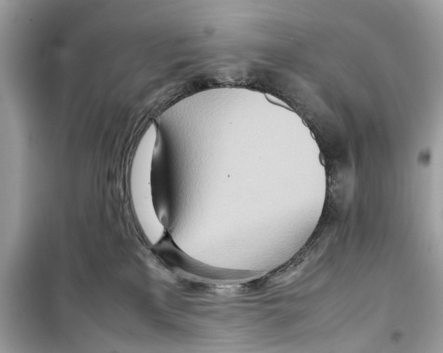 X0000098220233200805221655