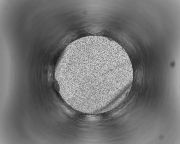 X0000098220234200805221655
