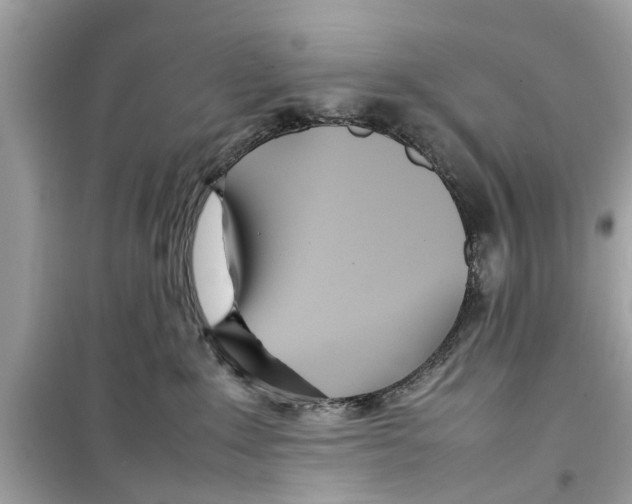 X0000098220235200805221655