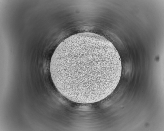 X0000098220236200805221655