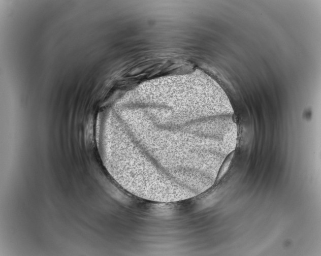 X0000098220238200805221655