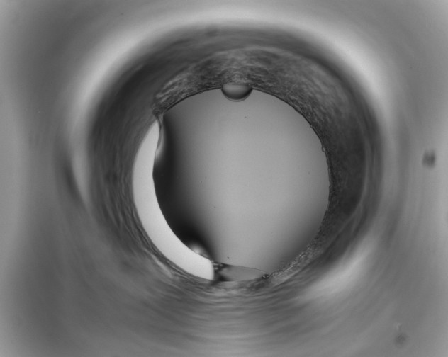 X0000098220239200805221655