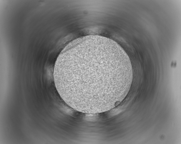 X0000098220240200805221655
