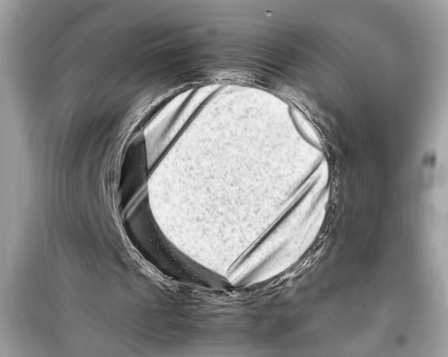 X0000098220241200805221654