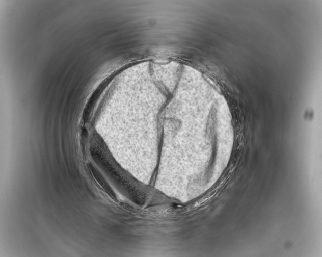 X0000098220242200805221654