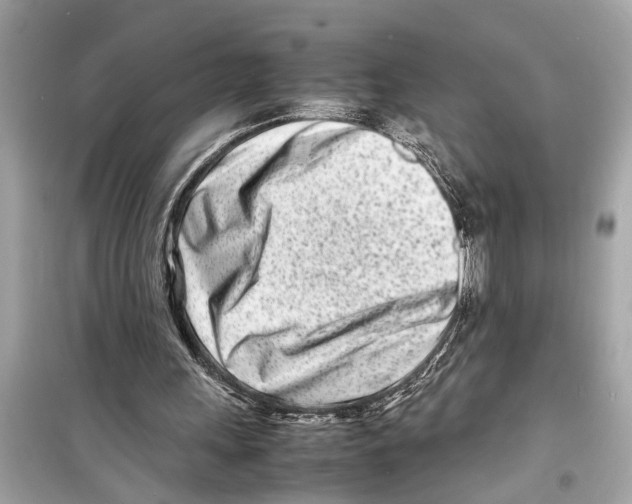 X0000098220243200805221654