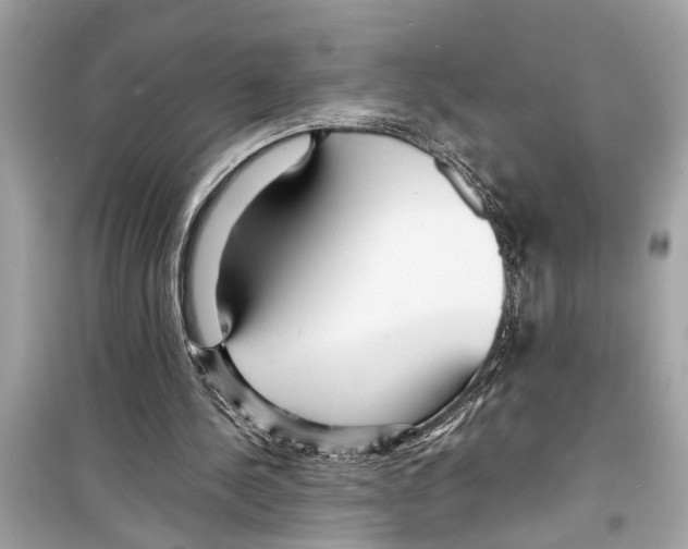 X0000098220244200805221654