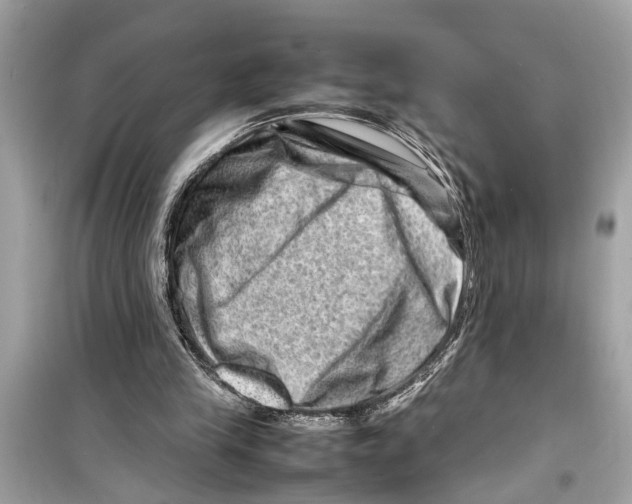 X0000098220245200805221654
