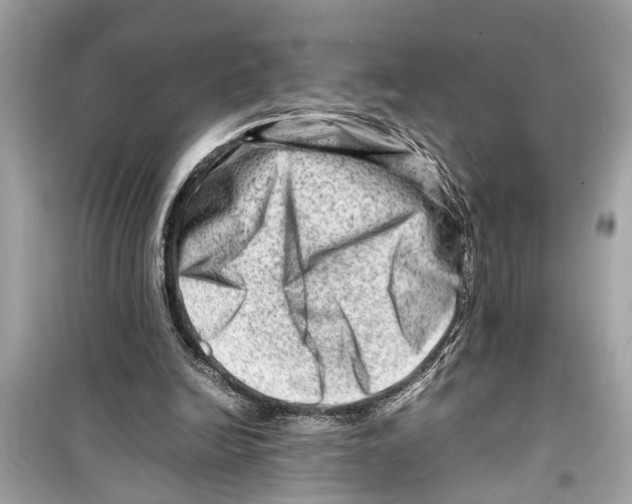 X0000098220246200805221654