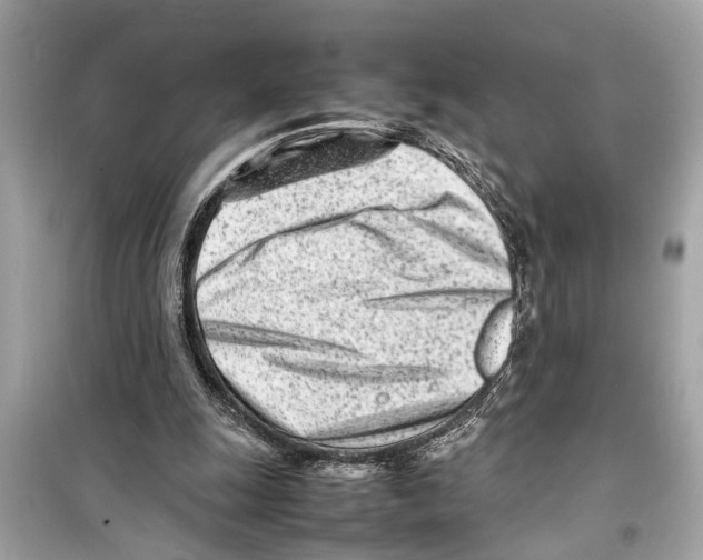 X0000098220247200805221654