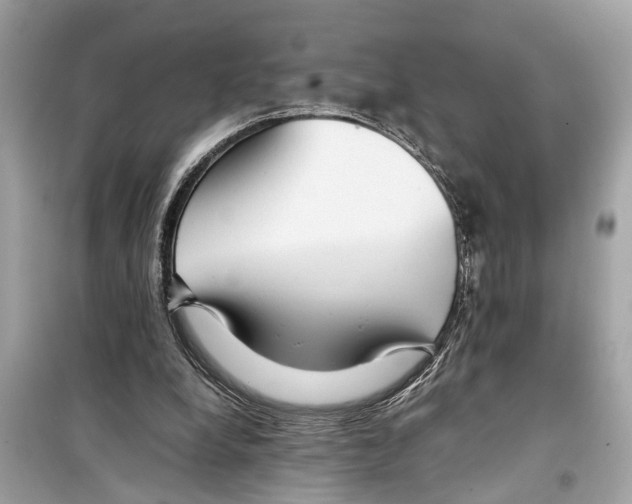 X0000098220248200805221654
