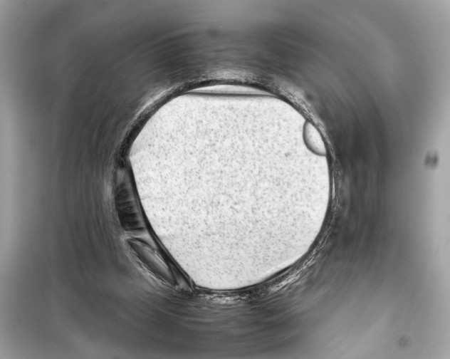 X0000098220249200805221654