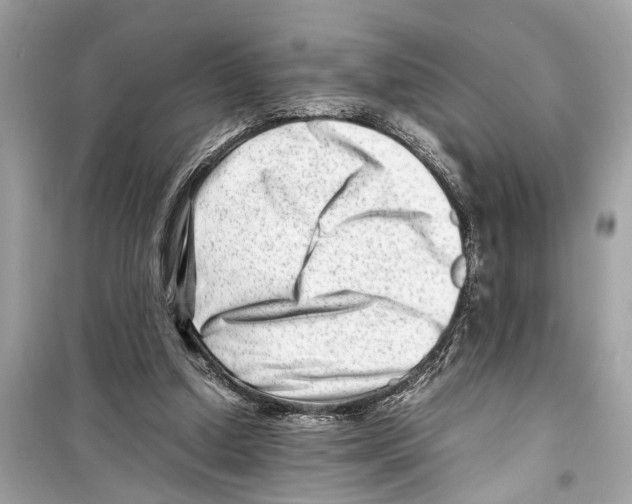 X0000098220250200805221654