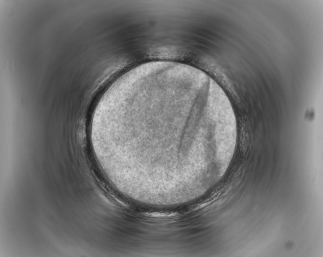 X0000098220251200805221654