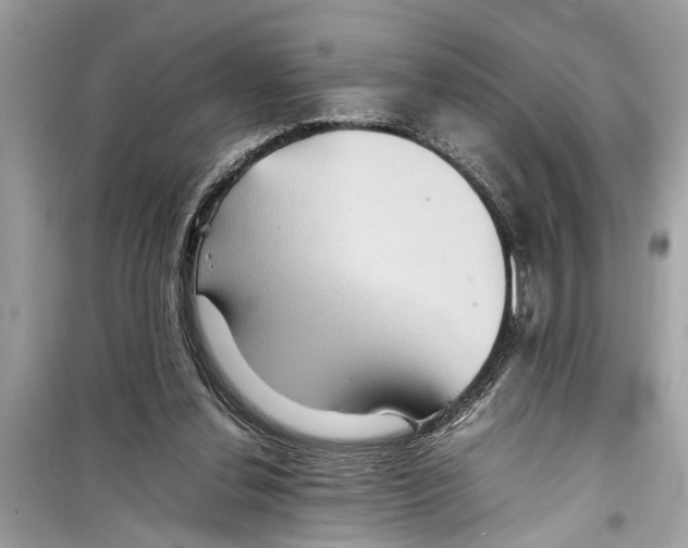 X0000098220252200805221654