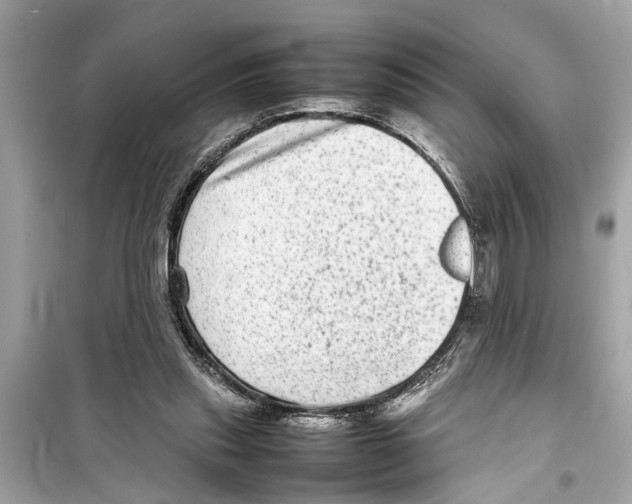 X0000098220253200805221654