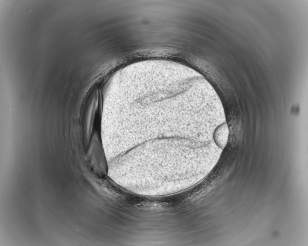 X0000098220254200805221654