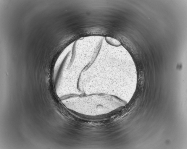 X0000098220255200805221654