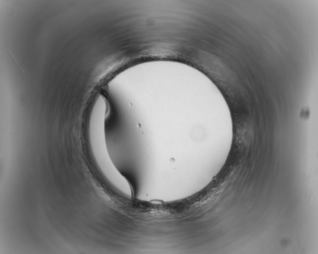 X0000098220256200805221654