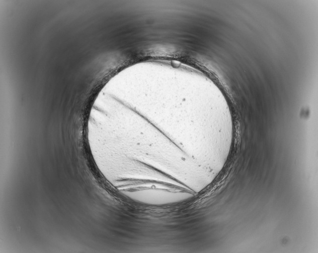 X0000098220257200805221654