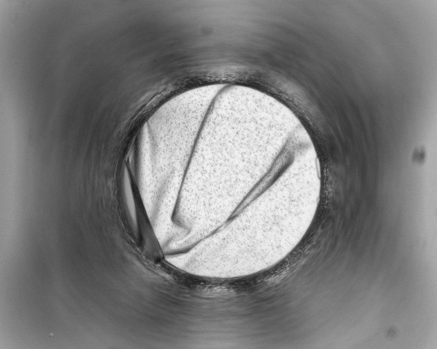 X0000098220258200805221654
