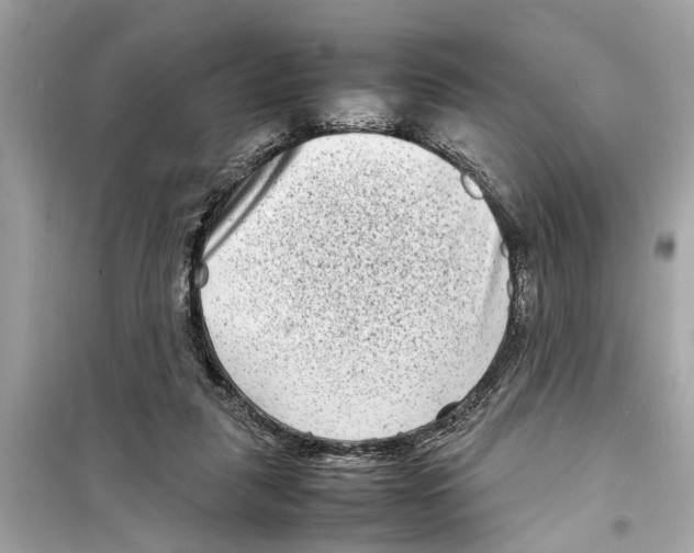 X0000098220259200805221654