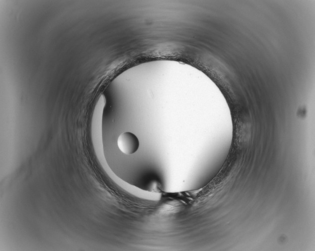 X0000098220260200805221654
