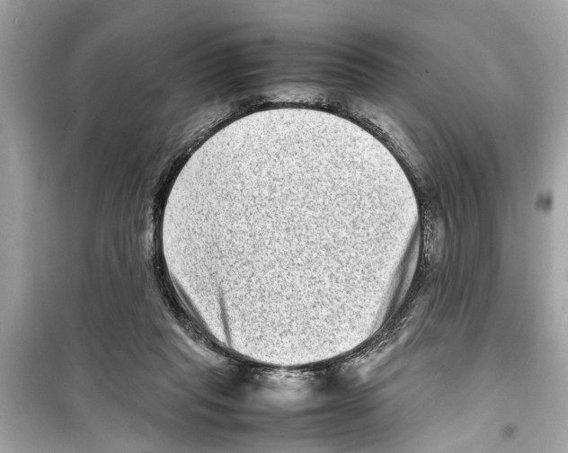 X0000098220261200805221654