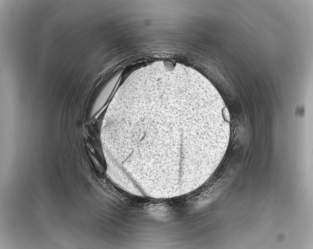 X0000098220262200805221654