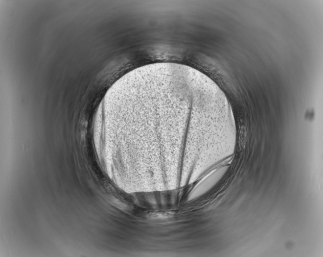 X0000098220263200805221655