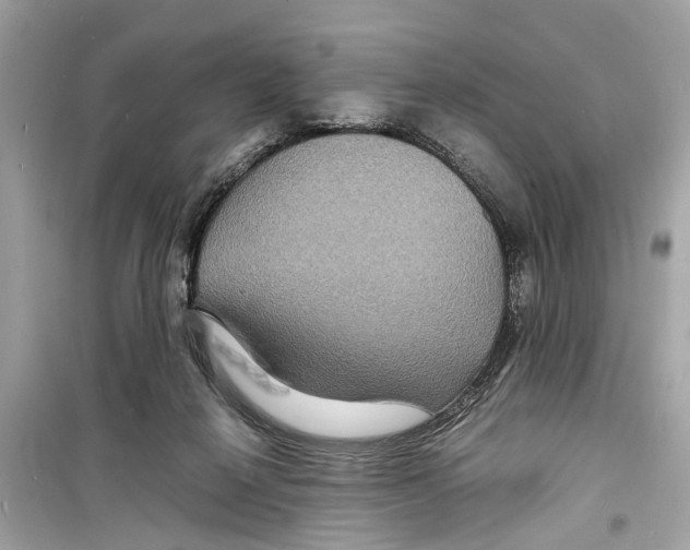 X0000098220264200805221655