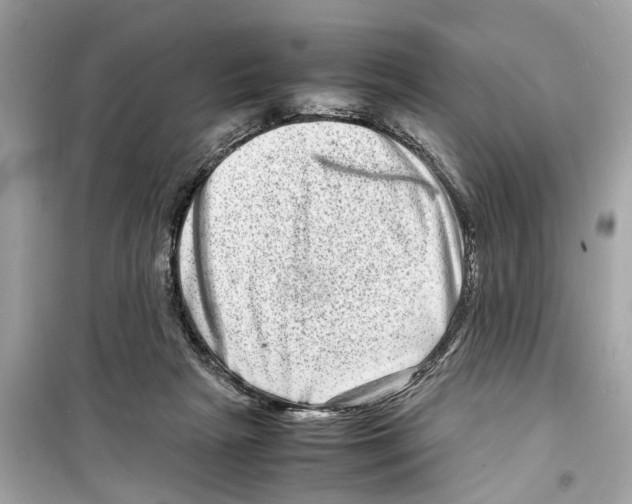 X0000098220265200805221655