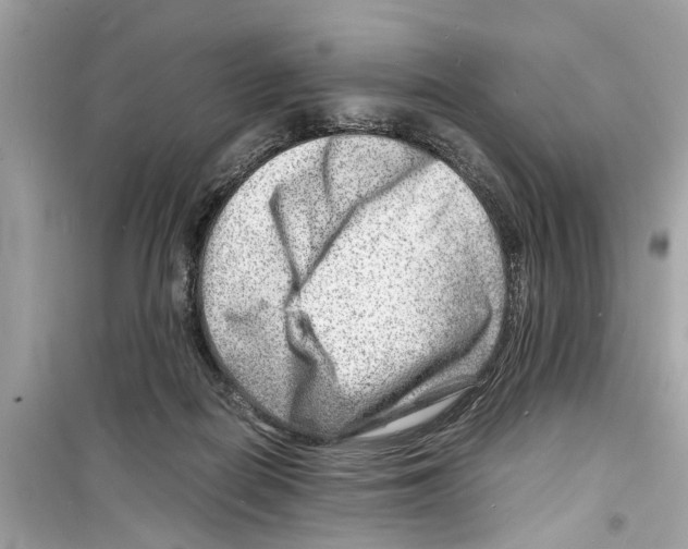 X0000098220266200805221655