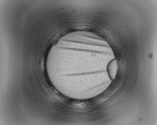 X0000098220267200805221655