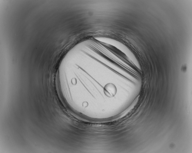 X0000098220268200805221655