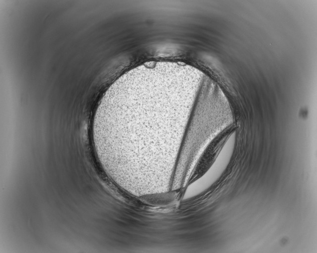 X0000098220269200805221655
