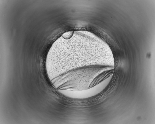 X0000098220270200805221655